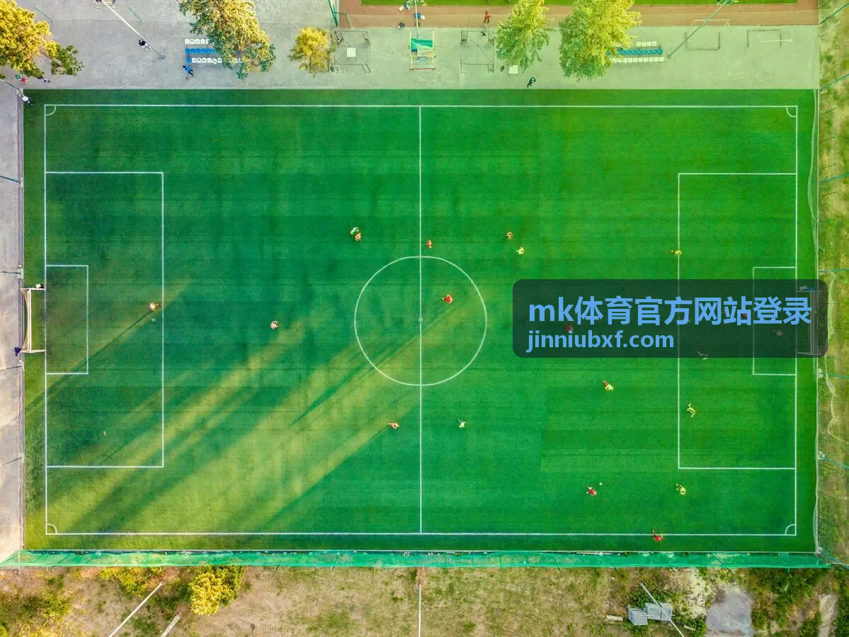 mk体育官方网站登录账号信息填写配图