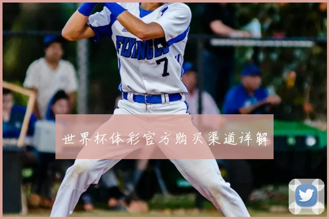 世界杯体彩官方购买渠道详解