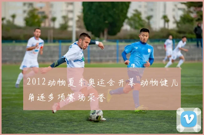 2012动物夏季奥运会开幕 动物健儿角逐多项赛场荣誉