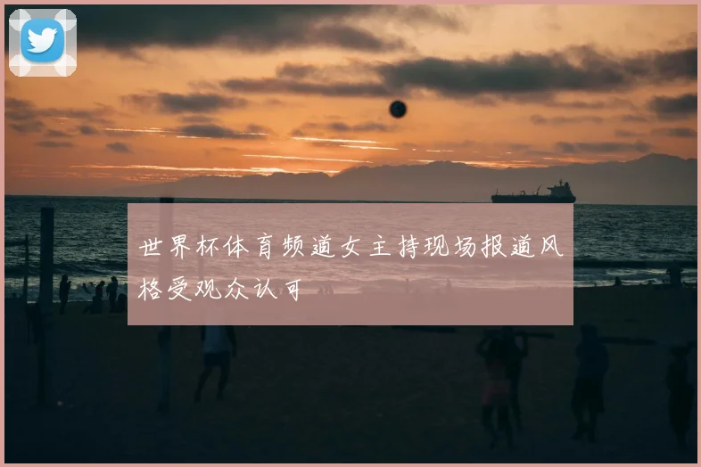 世界杯体育频道女主持现场报道风格受观众认可