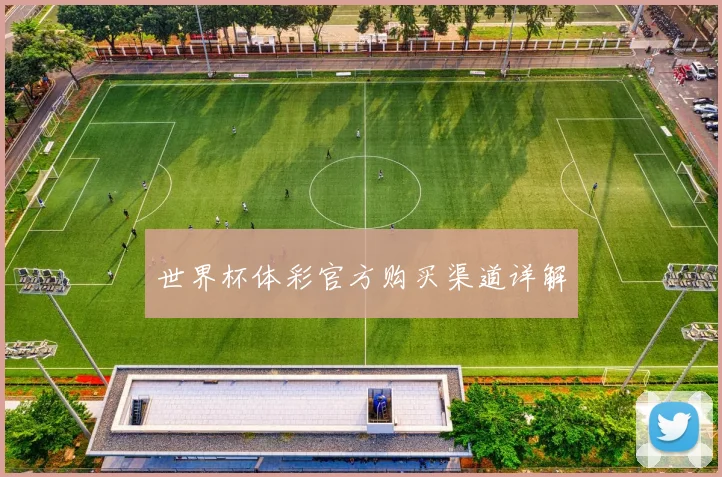 世界杯体彩官方购买渠道详解